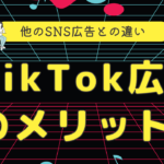 【TikTok広告のメリットとデメリット】他のSNS広告と何が違うのか?