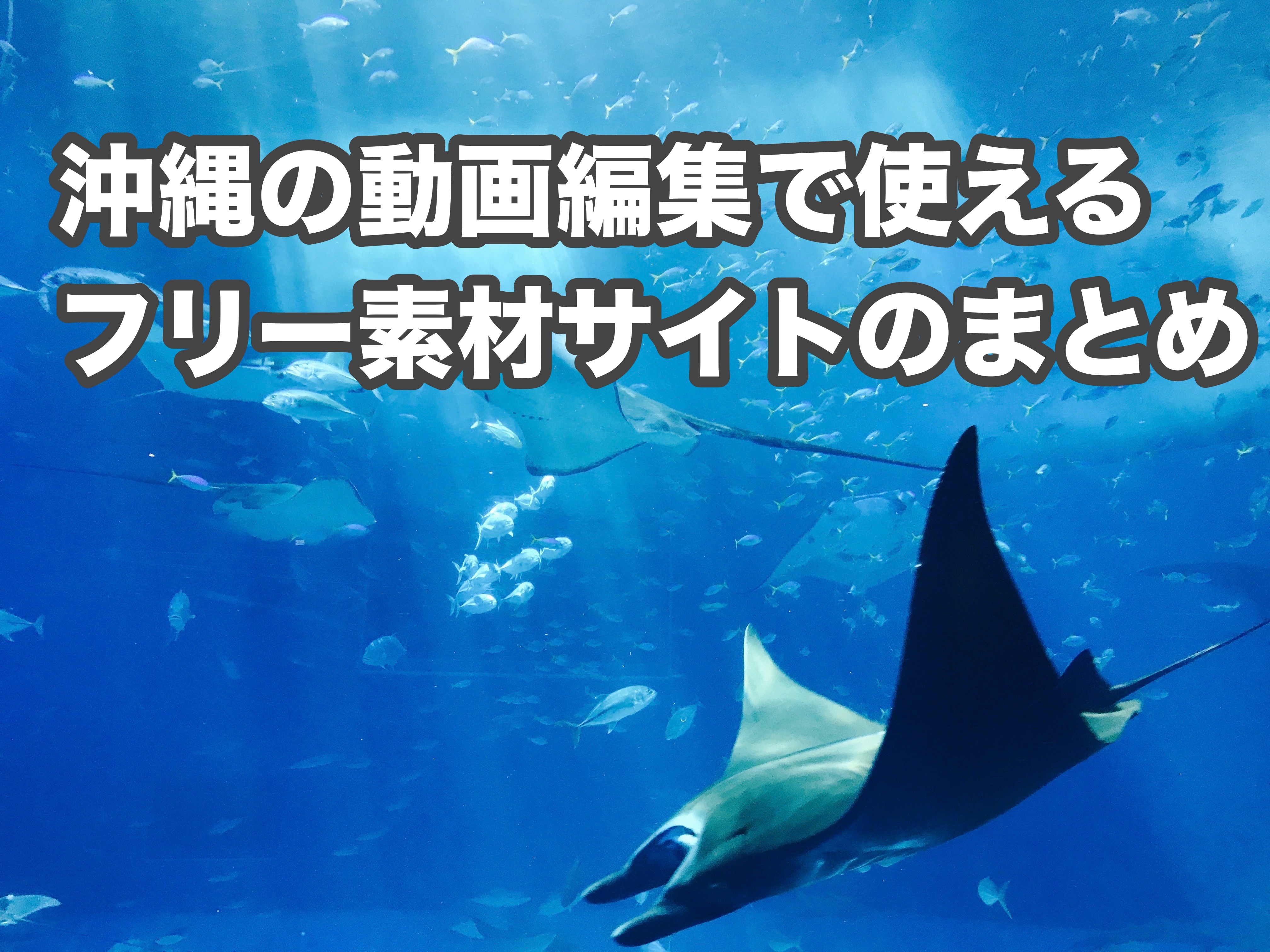 21年版 無料なのにハイクオリティ 沖縄の動画編集やデザインに使えるフリー素材サイトのまとめ 合同会社lead One